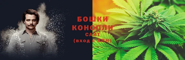 ГАЛЛЮЦИНОГЕННЫЕ ГРИБЫ Козловка