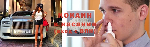ГАЛЛЮЦИНОГЕННЫЕ ГРИБЫ Козловка