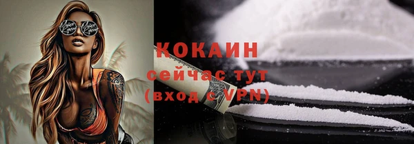 ГАЛЛЮЦИНОГЕННЫЕ ГРИБЫ Козловка
