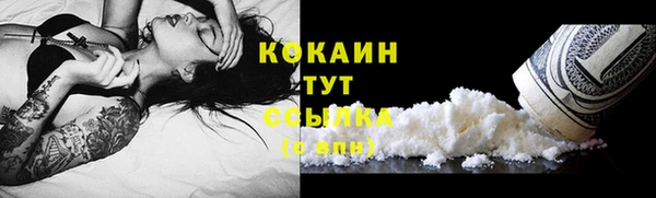 ГАЛЛЮЦИНОГЕННЫЕ ГРИБЫ Козловка