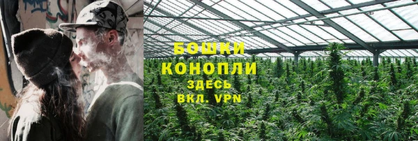 первитин Козельск