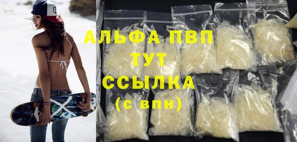 ГАЛЛЮЦИНОГЕННЫЕ ГРИБЫ Козловка