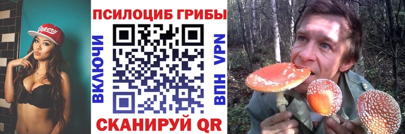 наркотики  Мантурово  Псилоцибиновые грибы Psilocybe 